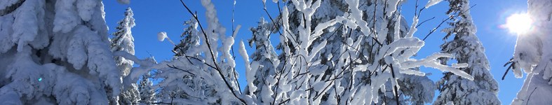 Banner profilu