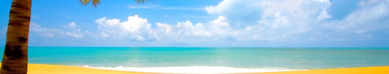Banner profilu