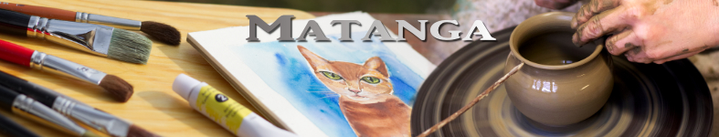 Banner profilu