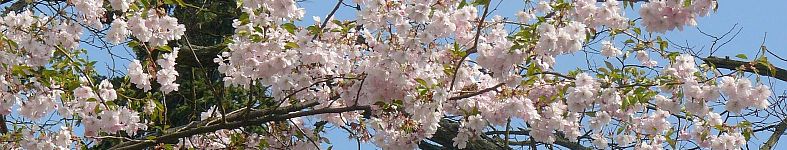 Banner profilu