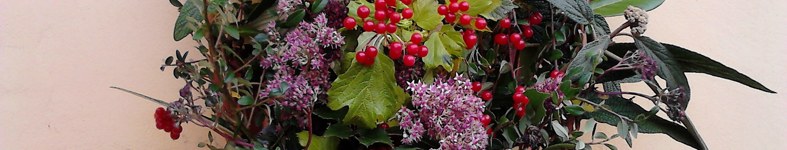 Banner profilu