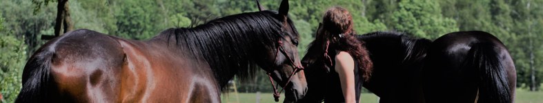 Banner profilu