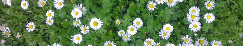 Banner profilu