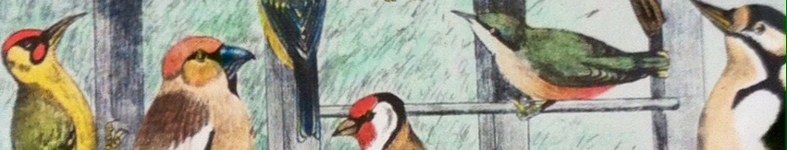 Banner profilu