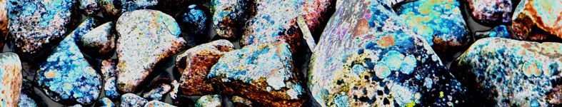 Banner profilu