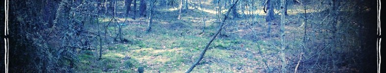 Banner profilu