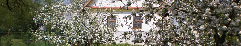Banner profilu