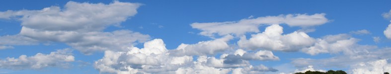 Banner profilu