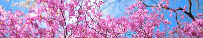 Banner profilu