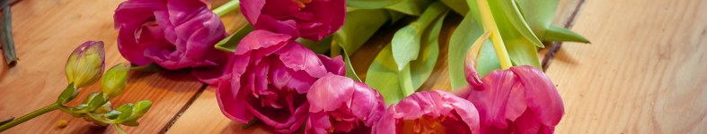 Banner profilu