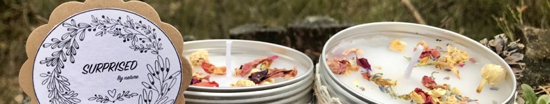 Banner profilu