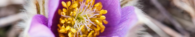 Banner profilu