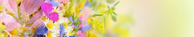 Banner profilu