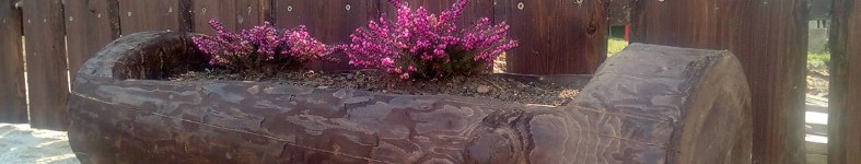 Banner profilu