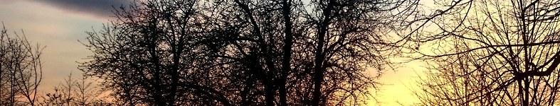 Banner profilu