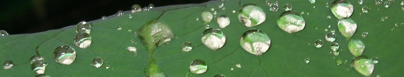Banner profilu