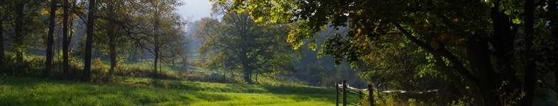 Banner profilu