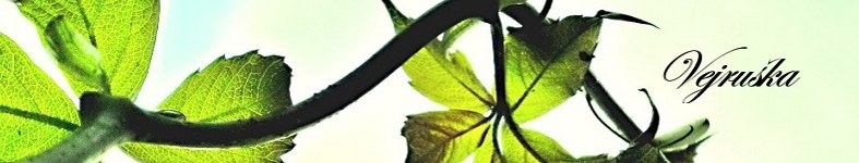Banner profilu