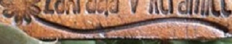 Banner profilu