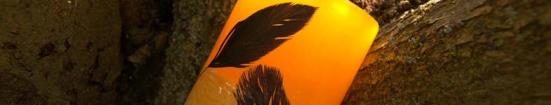 Banner profilu