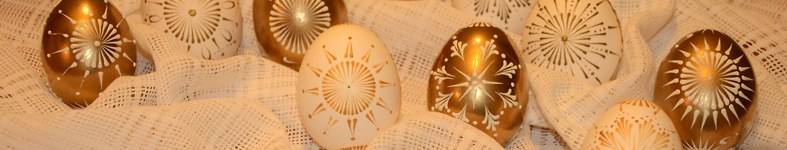 Banner profilu