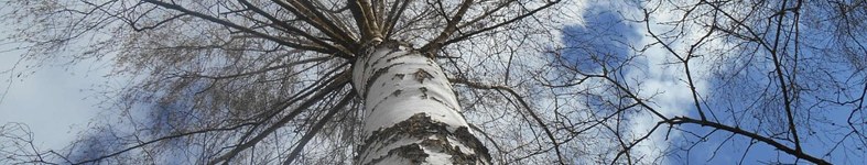 Banner profilu