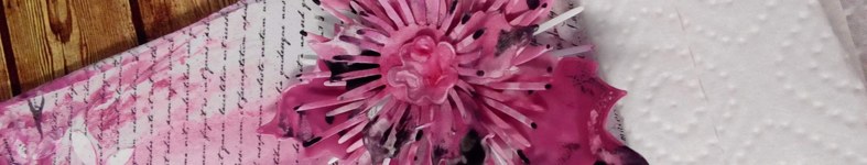 Banner profilu