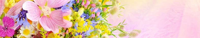 Banner profilu