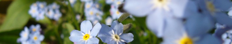 Banner profilu