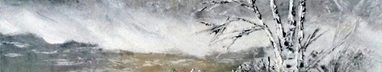 Banner profilu
