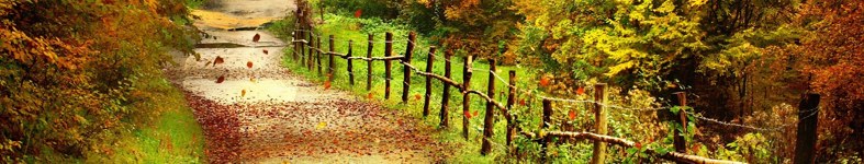 Banner profilu