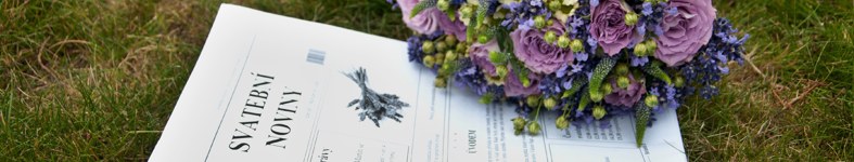 Banner profilu
