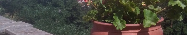 Banner profilu