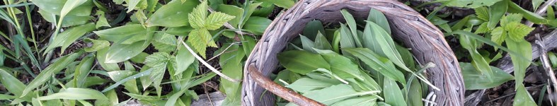 Banner profilu