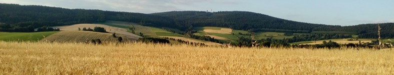 Banner profilu