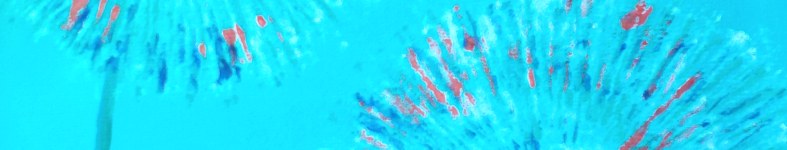 Banner profilu