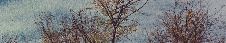 Banner profilu