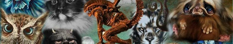 Banner profilu