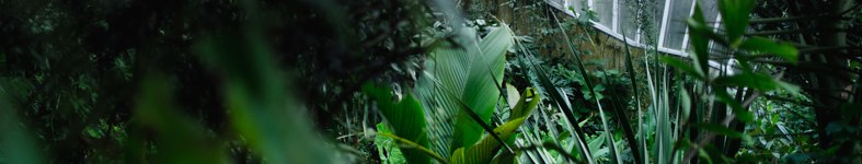 Banner profilu