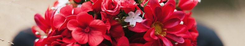 Banner profilu