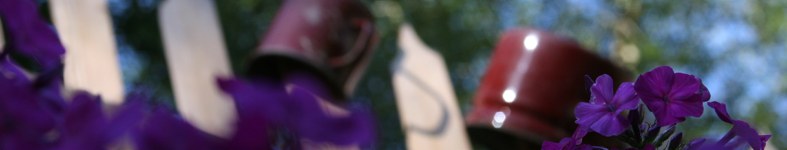 Banner profilu