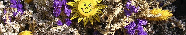 Banner profilu