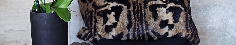Banner profilu