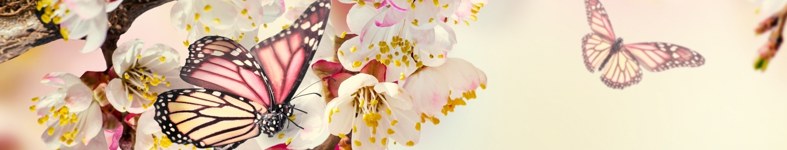 Banner profilu