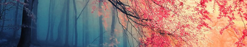 Banner profilu