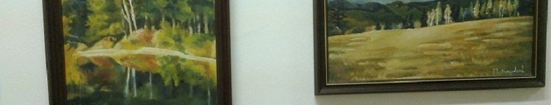 Banner profilu
