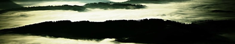 Banner profilu