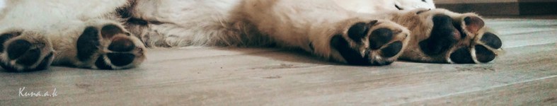 Banner profilu