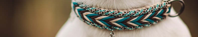 Banner profilu