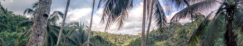Banner profilu